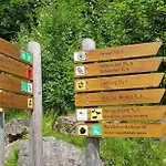 Am Nationalpark Bayerwald * Lindberg