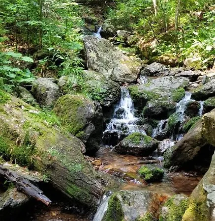 Διαμέρισμα Am Nationalpark Bayerwald *