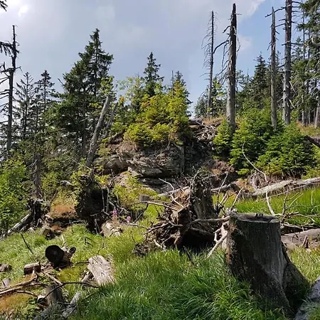 Διαμέρισμα Am Nationalpark Bayerwald *