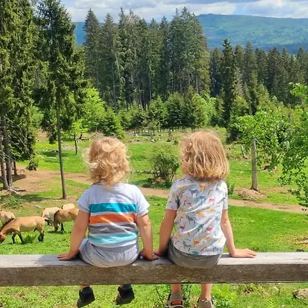 Διαμέρισμα Am Nationalpark Bayerwald *