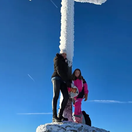 Am Nationalpark Bayerwald Διαμέρισμα Lindberg