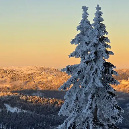 Am Nationalpark Bayerwald * Lindberg