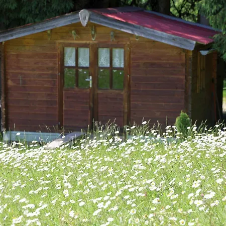 Am Nationalpark Bayerwald * Lindberg
