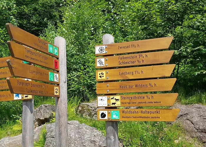 Am Nationalpark Bayerwald * Lindberg