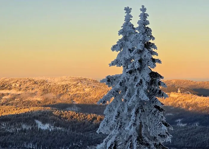 Am Nationalpark Bayerwald * Lindberg
