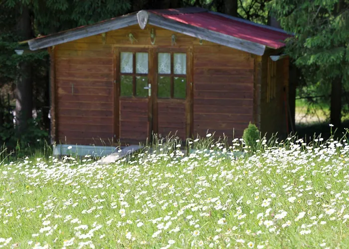 Am Nationalpark Bayerwald * Lindberg